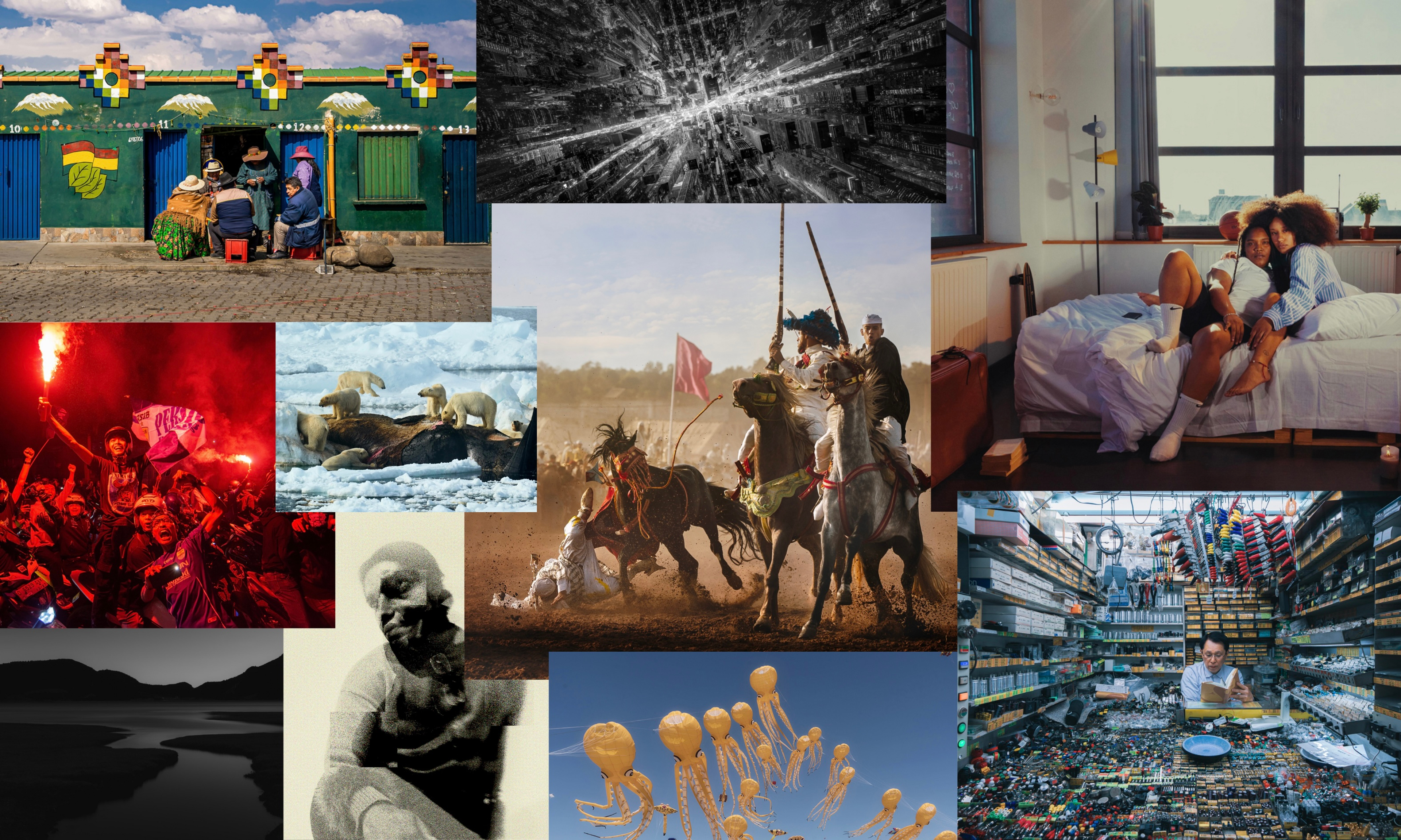 "Sony World Photography Awards"-ийн Open ангиллын ялагчид